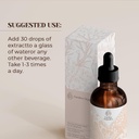 cilantro-alcohol-free-natural-tincture-e-2.jpg