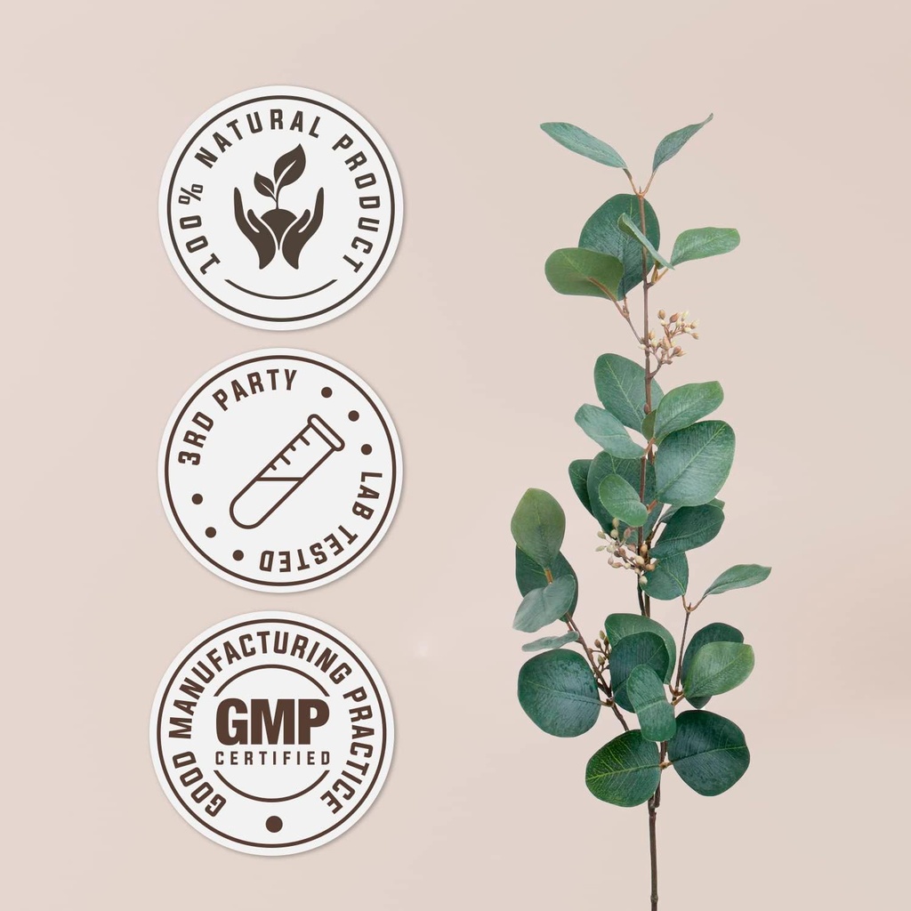 cilantro-alcohol-free-natural-tincture-e-4.jpg
