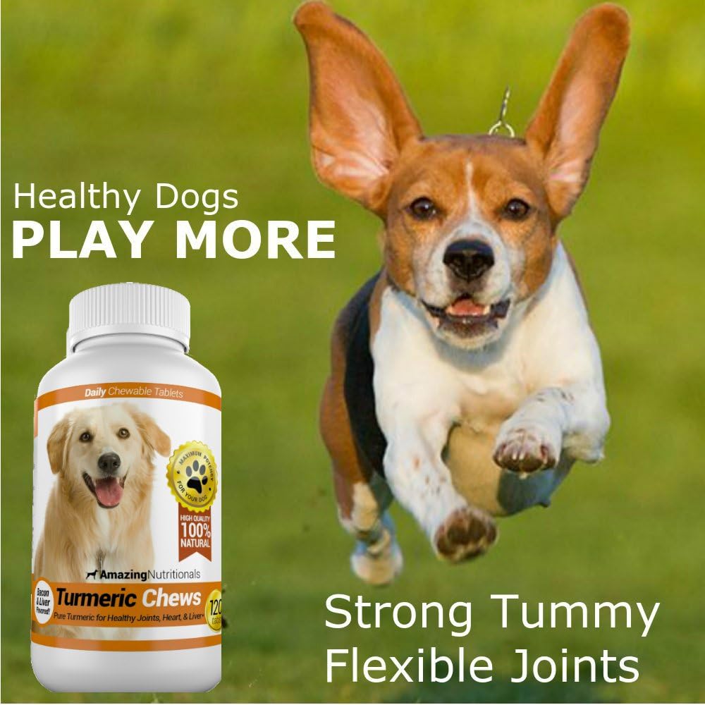 amazing-turmeric-for-dogs-curcumin-pet-a-4.jpg