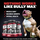 bully-max-dog-vitality-chews-muscle-buil-5.jpg