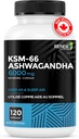 renew-actives-ashwagandha-ksm-66-supplem-2.jpg