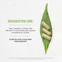 head-to-toe-60-capsules-1000-mg-chamomil-2.jpg