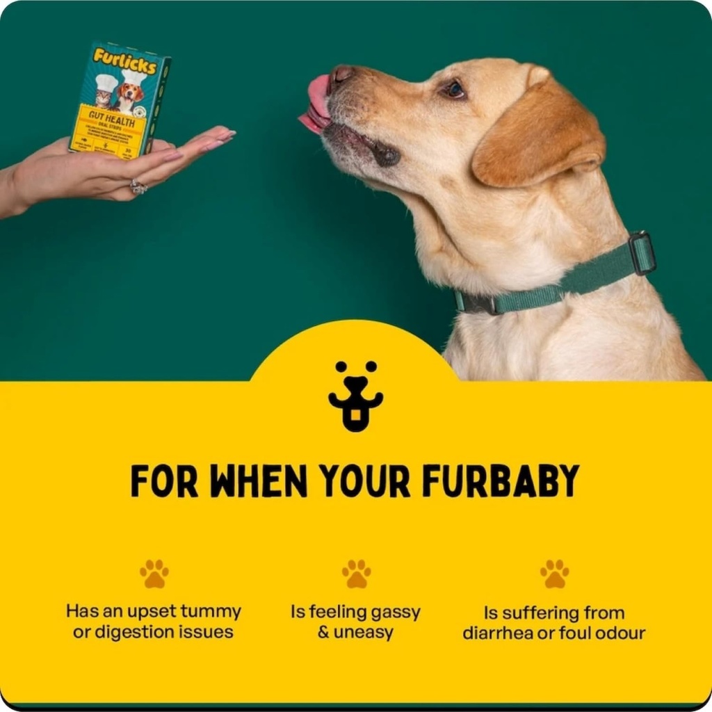 furlicks-gut-health-supplement-for-dogs--4.jpg