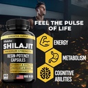 resin-potency-shilajit-capsules-50-fulvi-4.jpg