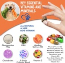 12-in-1-dog-vitamins-probiotics-120-soft-5.jpg