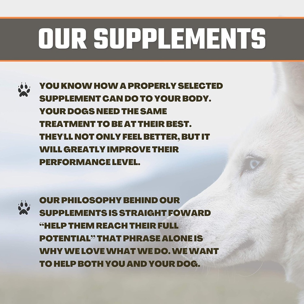 wild-fur-skin-and-coat-supplement-for-do-3.jpg