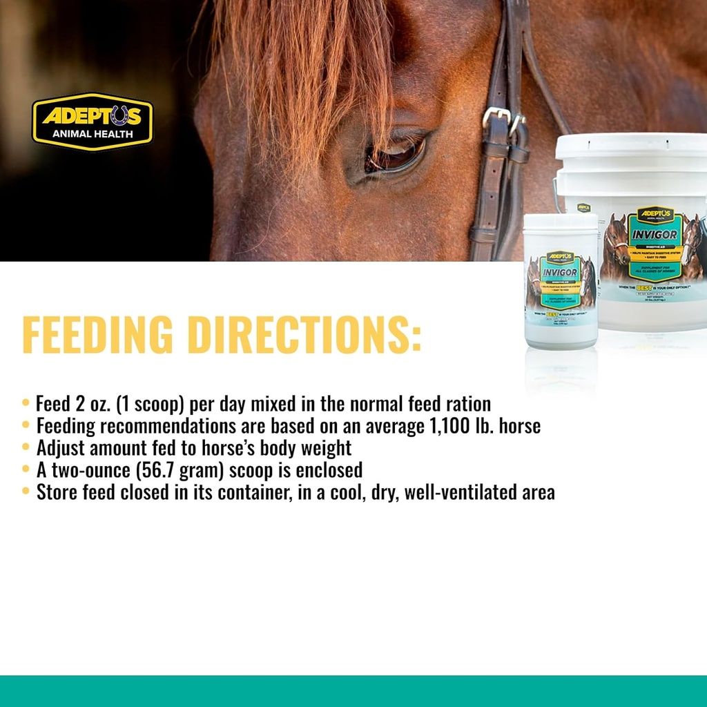 adeptus-nutrition-invigor-equine-digesti-4.jpg
