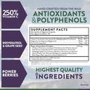 truwild-protect-vegan-immune-support-ant-2.jpg