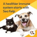 organic-sea-kelp-powder-7-pounds-32-kg-i-5.jpg