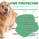 pet-kidney-support-for-dogs-veterinarian-3.jpg