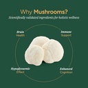 mushroom-gummies-no-added-sugar-lions-ma-2.jpg
