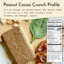 send-bars-plant-based-vegan-healthy-prot-2.jpg