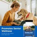 nutri-vet-senior-vite-multivitamin-dog-s-2.jpg