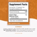 chaga-mushroom-extract-powder---organic--2.jpg