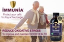 immunia-67-polyphenols---elderberry-conc-5.jpg