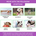 probiotics-for-dogsdog-probiotics-and-di-4.jpg