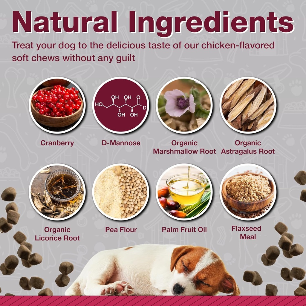 cranberry-supplements-for-dogs-urinary-t-4.jpg
