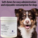 dog-skin-coat-supplement-chews---skin-he-5.jpg