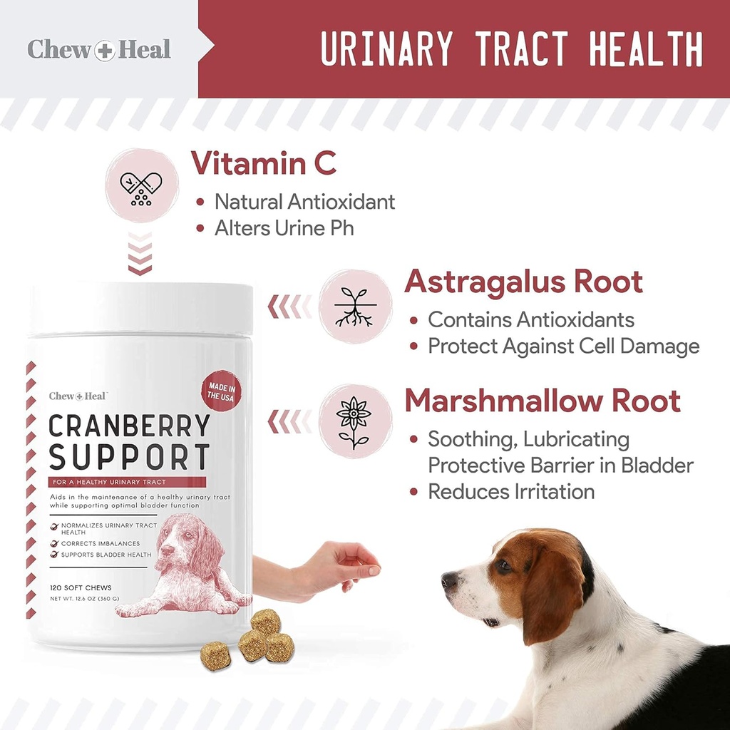 digestive-enzymes-and-probiotics-and-cra-3.jpg