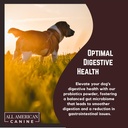 complete-probiotic-gut-support---prevent-2.jpg