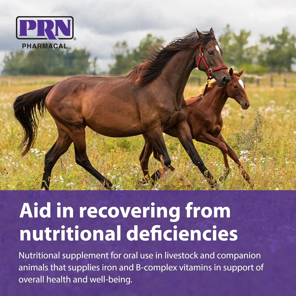 prn-pharmacal-liqui-tinic-4x---iron-vita-5.jpg
