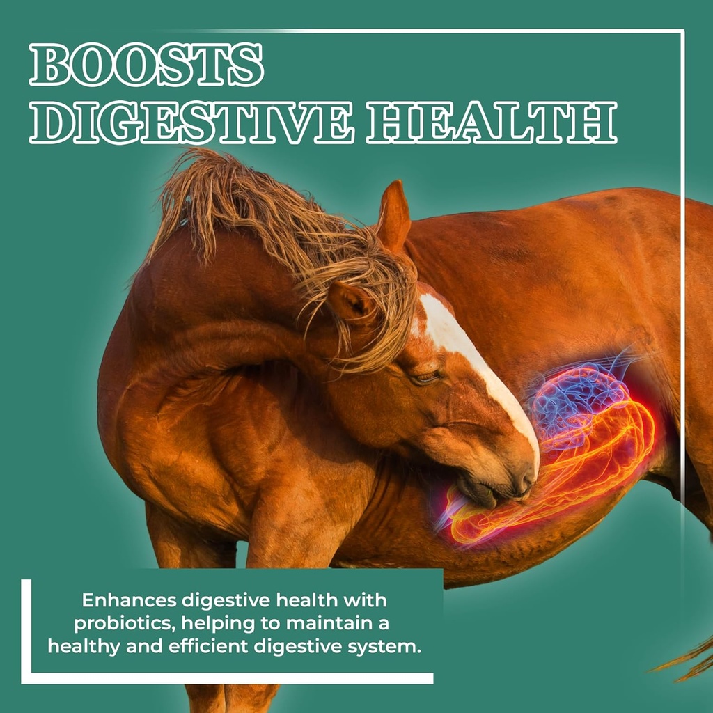 equerrys-plus-horse-supplement---enhance-2.jpg