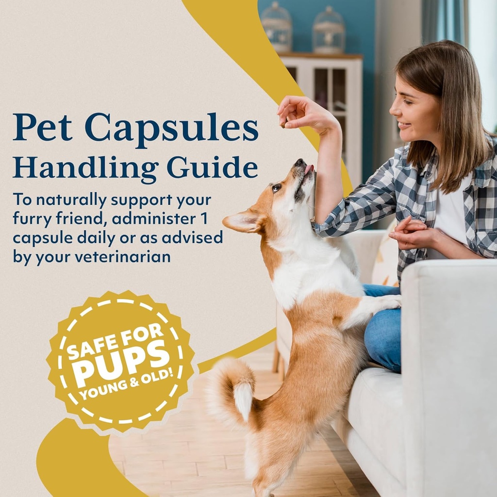 ayush-pet-ashwagandha-capsules-for-dogs--5.jpg