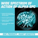 apollos-hegemony-alpha-gpc-600mg-per-dai-4.jpg