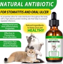antibiotics-for-cats-premium-cat-antibio-4.jpg