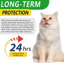 antibiotics-for-cats-premium-cat-antibio-5.jpg