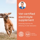 petralyte-dog-electrolytes-and-joint-sup-4.jpg