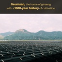 geumheuk-korean-black-ginseng-extract-ev-4.jpg