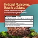 mushroomscience-maitakegold-404-mushroom-2.jpg