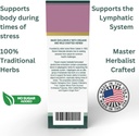 renes-naturals-lymphatic-drops-100-organ-3.jpg