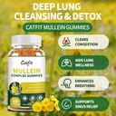 catfit-mullein-gummies-for-lungs-mullein-2.jpg