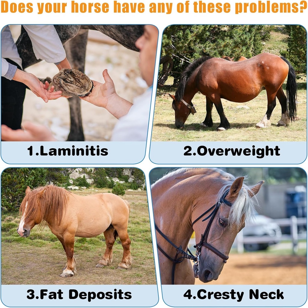 insulin-resistance-supplement-for-horses-4.jpg
