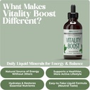 american-nutriceuticals---vitality-boost-2.jpg