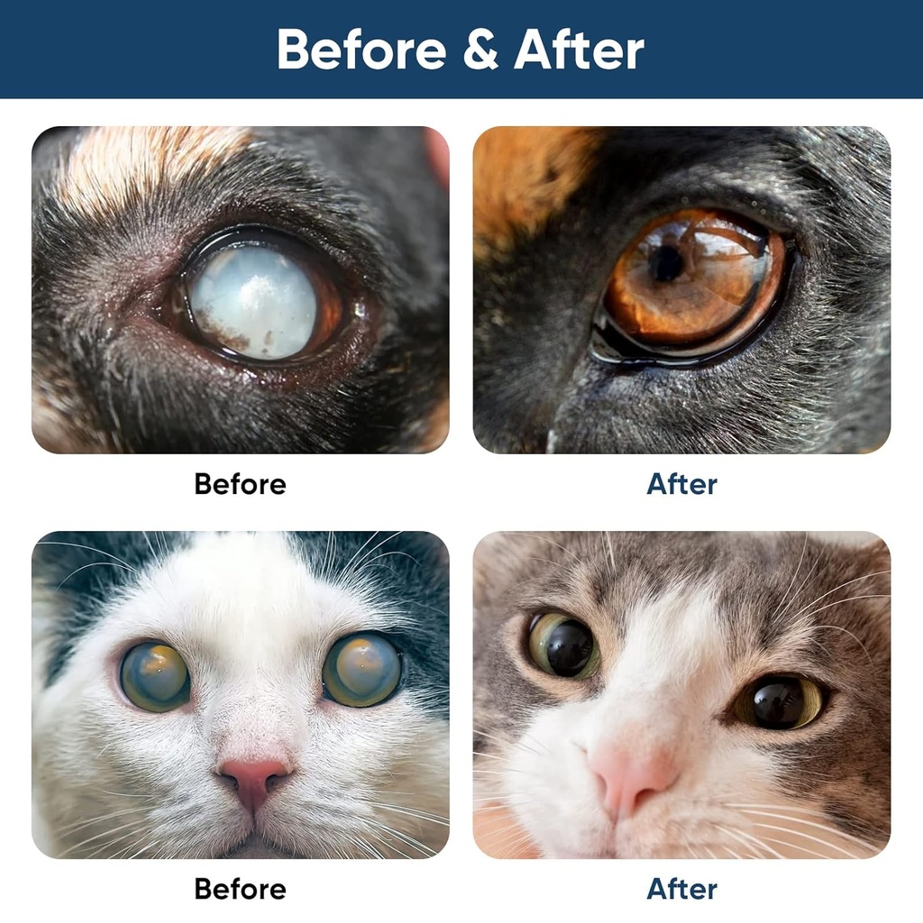 cataract-drops-for-dogs-dog-eye-drops-im-4.jpg