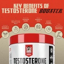 vintage-boost---wave-loaded-testosterone-2.jpg
