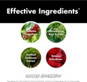 anabolic-warfare-nuclear-armageddon-pre--6.jpg
