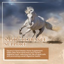 equerrys-sand-master-horse-supplement----4.jpg