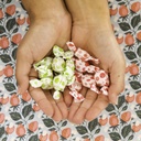 tummydrops-groovy-peppermint-pack-mix-of-3.jpg