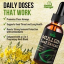 mullein-leaf-extract-for-lungs---mullein-3.jpg