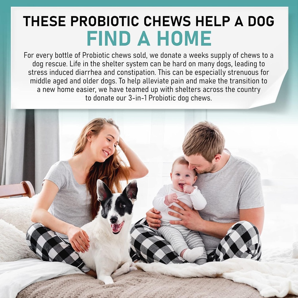 probiotic-chews-for-dogs-support-digesti-6.jpg