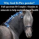 su-per-b-plex-powder-equine-vitamins---c-5.jpg