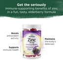swanson-zinc-gummies---all-natural-vitam-2.jpg
