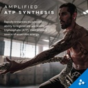 creatine-powder-muscletech-cell-tech-cre-3.jpg