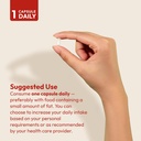 andrew-lessman-vitamin-d3-5000-iu-720-ca-6.jpg