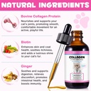 2pack-liquid-collagen-for-cats-collagen--2.jpg