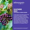 full-spectrum-eleuthero-root-capsules----3.jpg